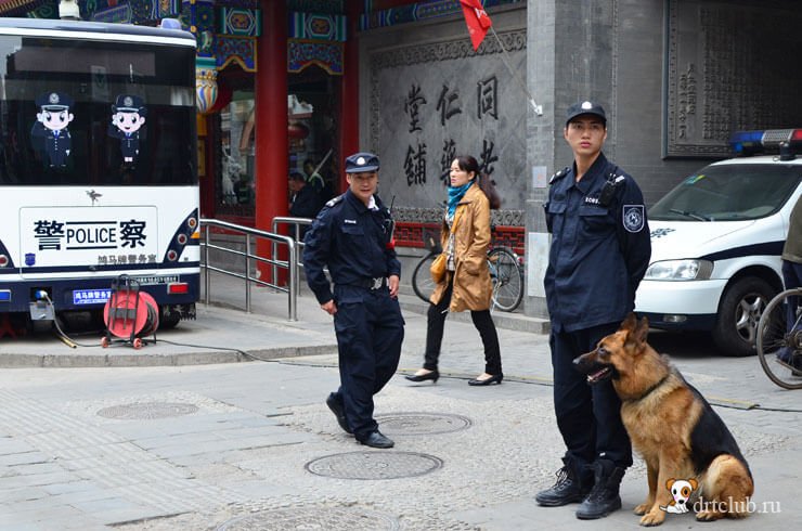 Китайский полицейский