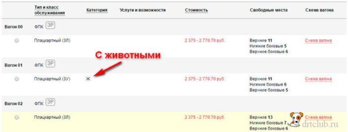 Билет собаке на поезд