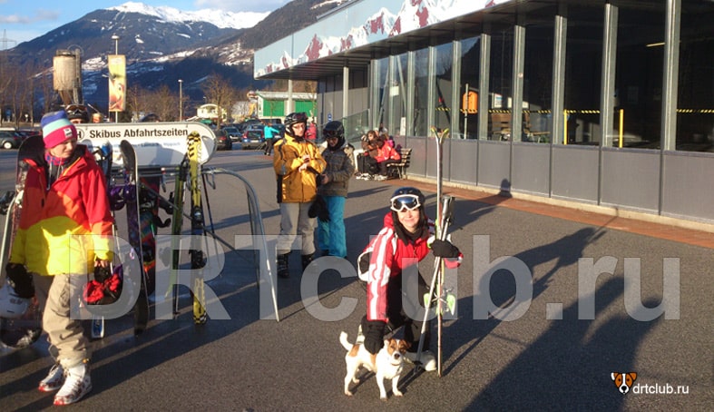 С собакой на лыжах в Австрию
