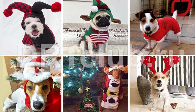 Новогодний костюм Санта Клауса для собак и кошек