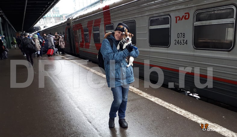 С собакой в поезде по России