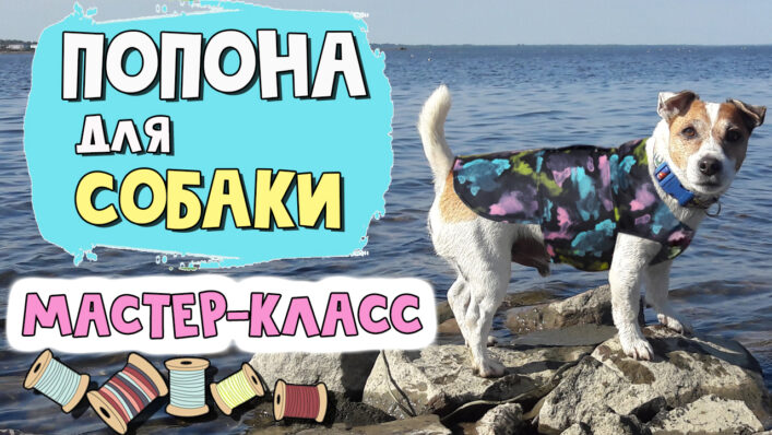 Облегченная попона для собаки мастер-класс
