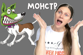 Вирус бешенства у собак