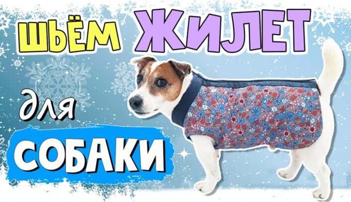 Жилет для собаки видео мастер-класс