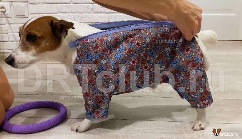 Как сшить одежду для собак своими руками: пошаговые видео с выкройками и инструкциями