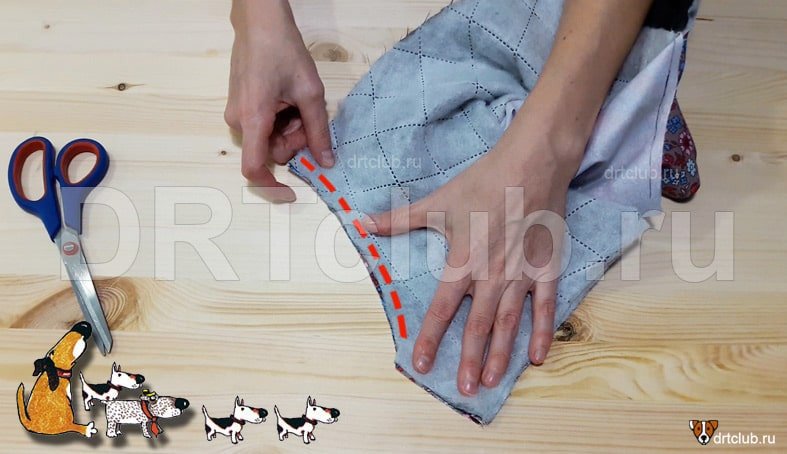 Выкройки комбинезона для собак мелких пород своими руками с указанием размеров для девочки