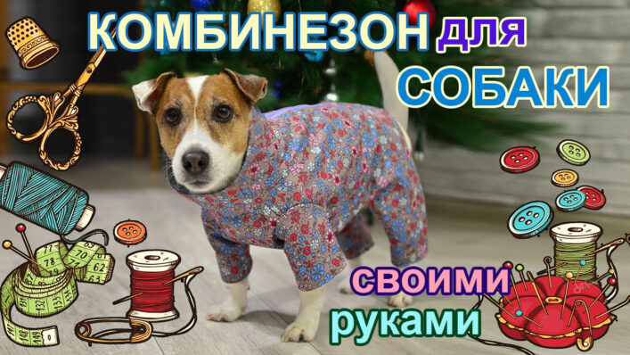 Комбинезон для собаки мастер-класс