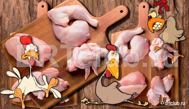 Полезно ли мясо курицы для собак