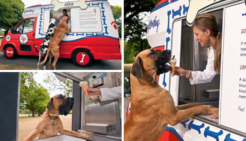 Dog фургончик с мороженым