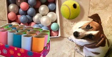 Умные, развивающие игрушки для собак