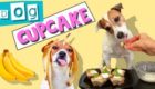Dog cupcake recipe
