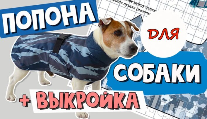 Осенняя попона дождевик для собаки мастер-класс