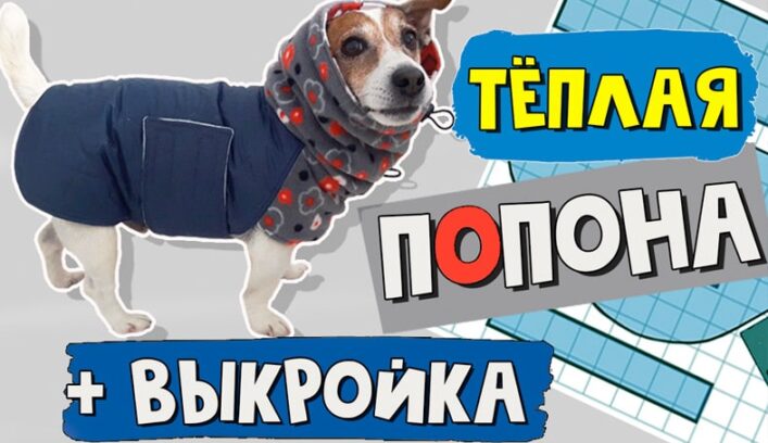 Зимняя попона для собаки мастер-класс