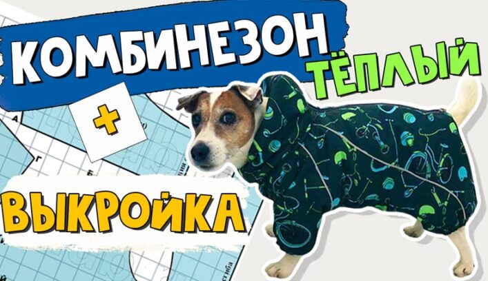 Зимний комбинезон для собаки мастер-класс