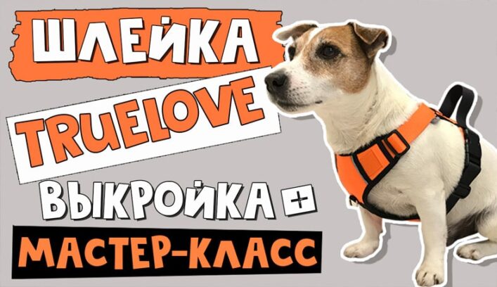 Шлейка для собаки мастер-класс