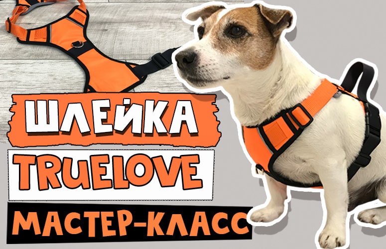 Одежда для собак своими руками Dress for dogs | VK