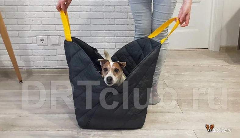 Основные функции сумки-переноски для мелких собак