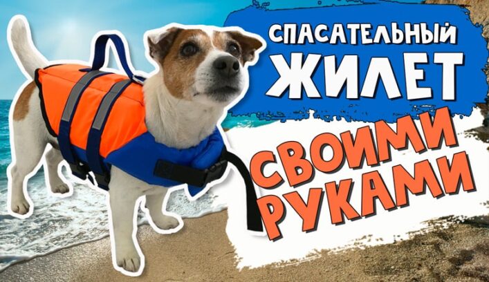 Спасательный жилет для собаки мастер-класс