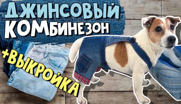 Джинсовый комбинезон для собаки мастер-класс