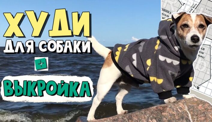Худи для собаки мастер-класс
