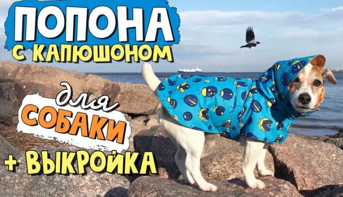 Осенняя попона с капюшоном для собаки мастер-класс