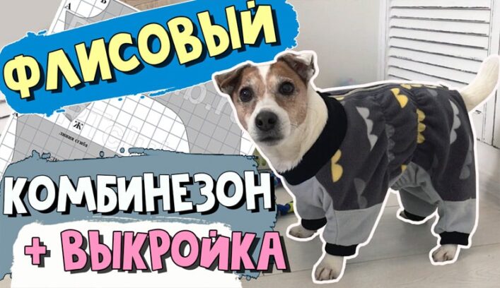 Комбинезон из флиса для собаки мастер-класс 
