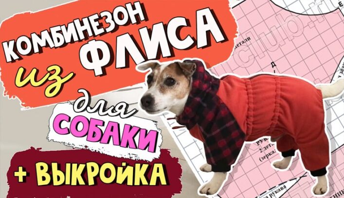 Флисовый комбинезон для собаки мастер-класс