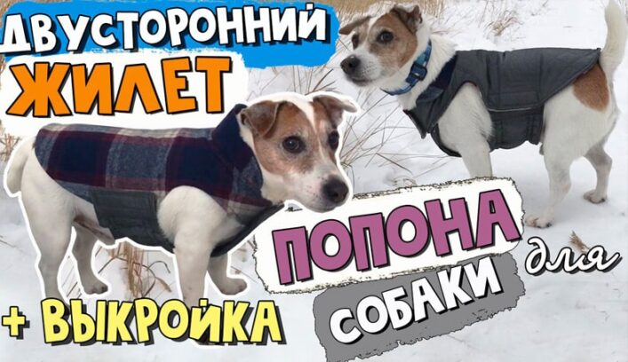 Двусторонний жилет попона для собаки мастер-класс