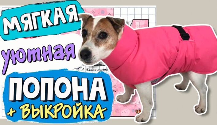 Утеплённая попона пуховик для собаки мастер-класс