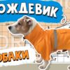 Дождевик для мелких пород собак