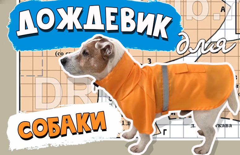 Выкройка дождевика для собаки своими руками | VK
