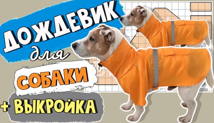 Куртка дождевик для собаки мастер-класс