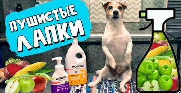 Чем помыть собаку в домашних условиях