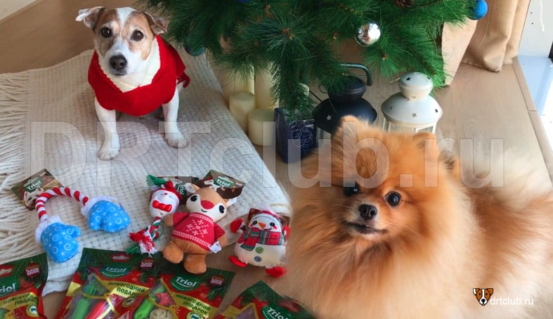 Новогодние игрушки и вкусняшки для собак от Триол