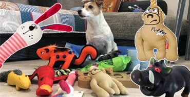 Как выбирать игрушки для собаки