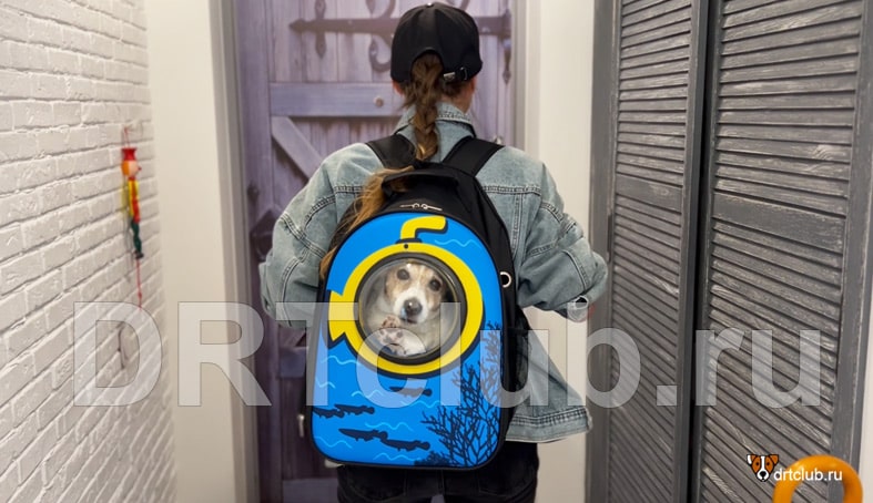 Рюкзак с иллюминатором для собак и кошек