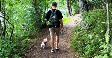 Основные моменты нужно учесть, если вы отправляетесь с собакой в лес