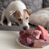 Какое мясо давать собаке: сырое или отварное