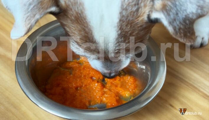 Морковный суп Моро при диарее