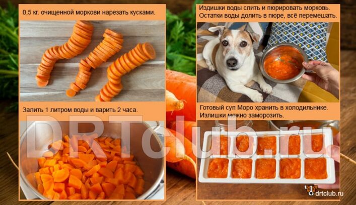 Как приготовить морковный суп Моро для собак
