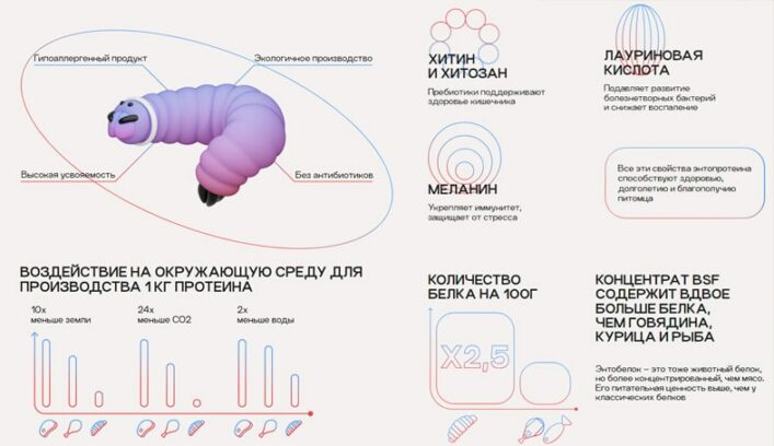 Экологичность в производстве кормов для собак