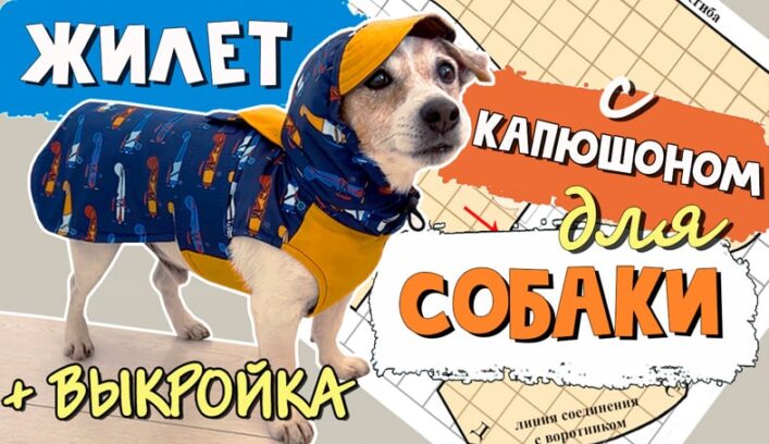 Жилет-попона с капюшоном для собаки мастер-класс