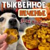 Печенье из тыквы для собаки