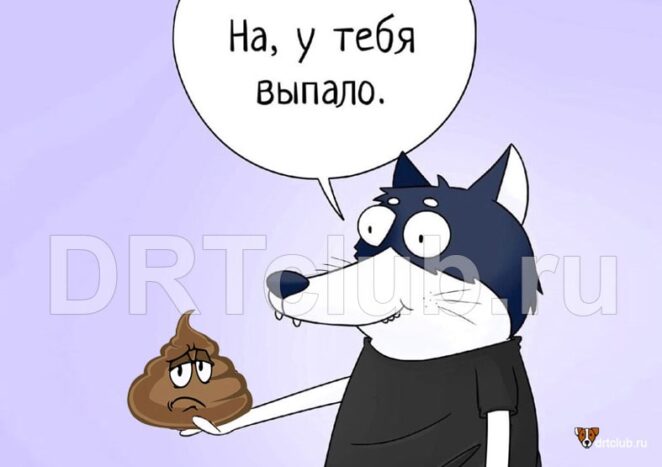 Почему собаки едят экскременты