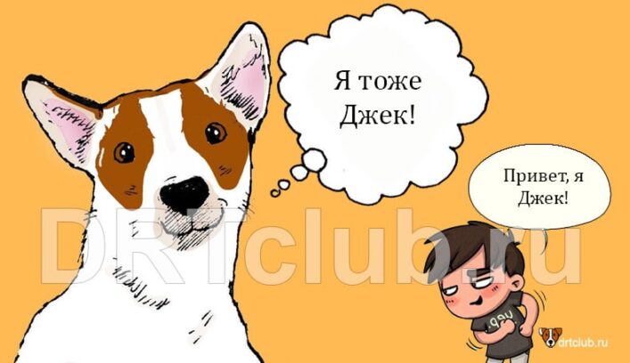 Почему нельзя называть собак человеческими именами