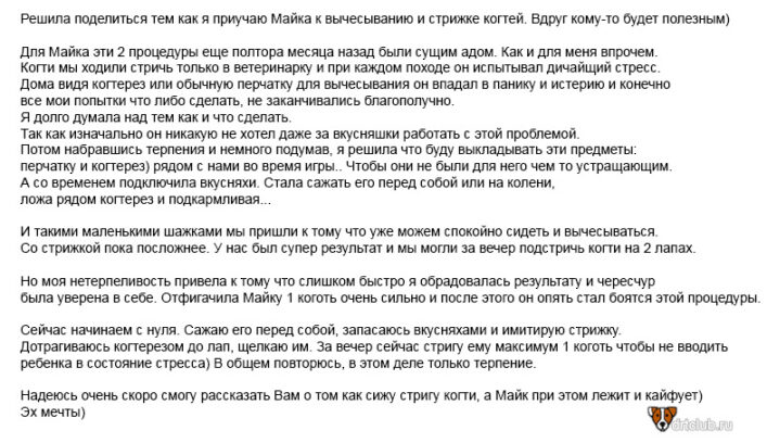 Как подстричь когти собаке