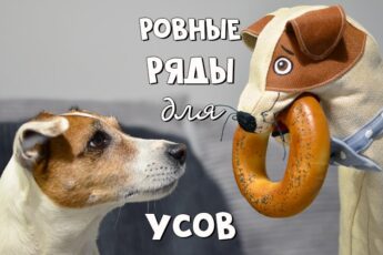 Идеальные ряды для усов