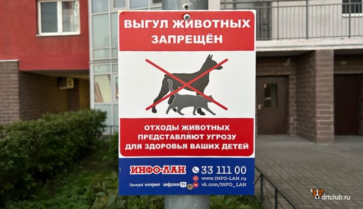 Где выгуливать собаку в городе