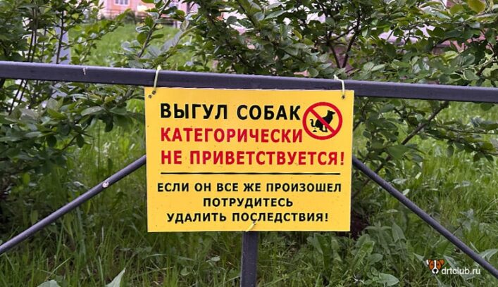 Люди не убирают какашки за собакой