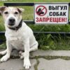 Где гулять с собаками